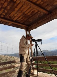 Guía de aves de Extremadura