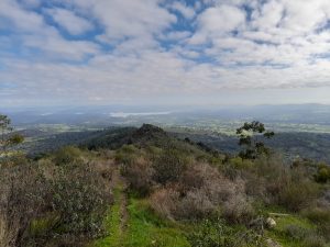 Birdwatching en la Sierra de San Pedro