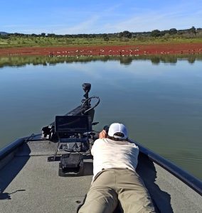 Birdwatching desde barco