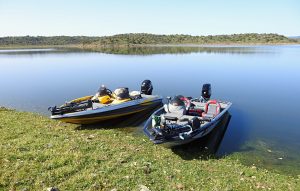 birding from a boat