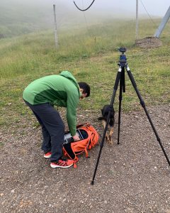 observación de fauna