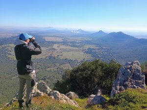 observacion de fauna