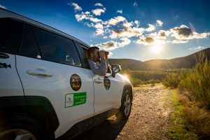 Birdwatching in Extremadura